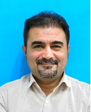 Prof. Mansoor Zoveidavianpoor